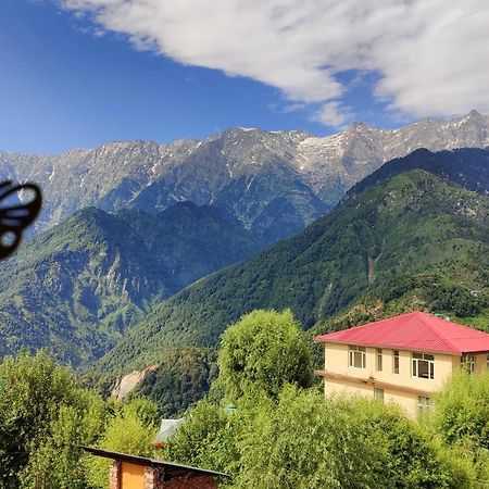 Sahaj Homestay Naddi Dharamszala Kültér fotó