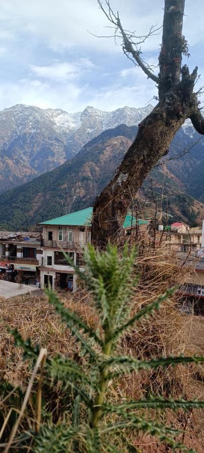 Sahaj Homestay Naddi Dharamszala Kültér fotó