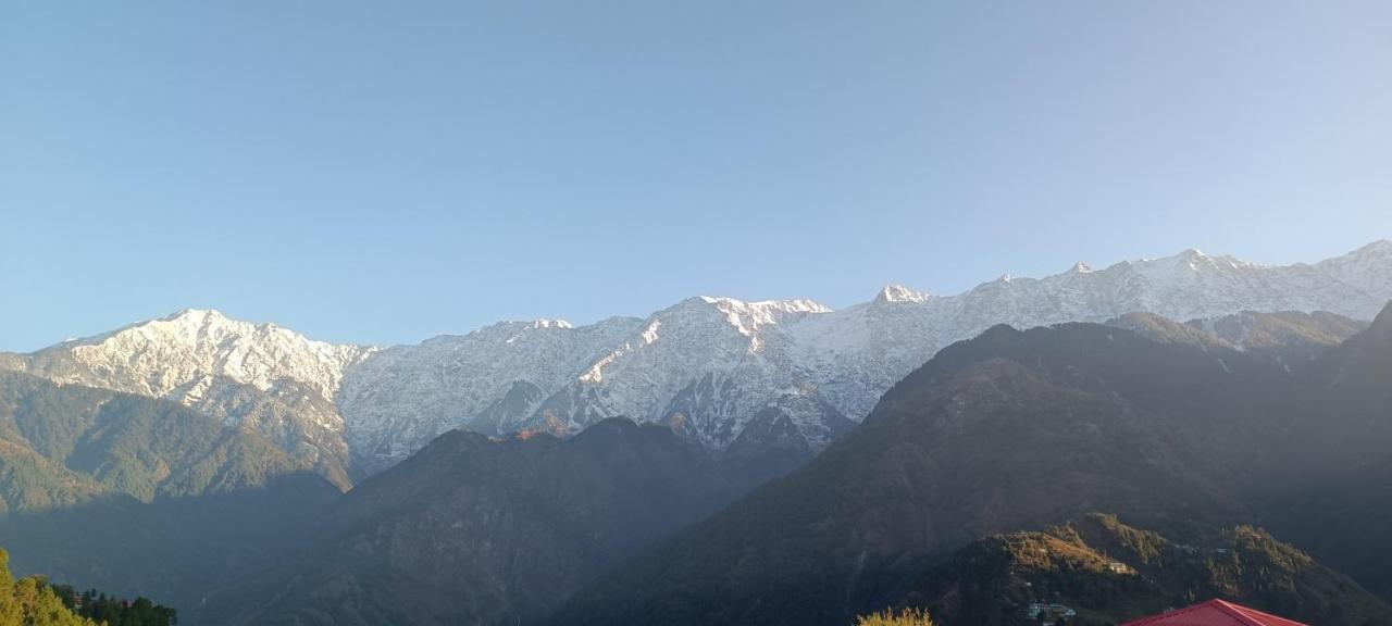 Sahaj Homestay Naddi Dharamszala Kültér fotó